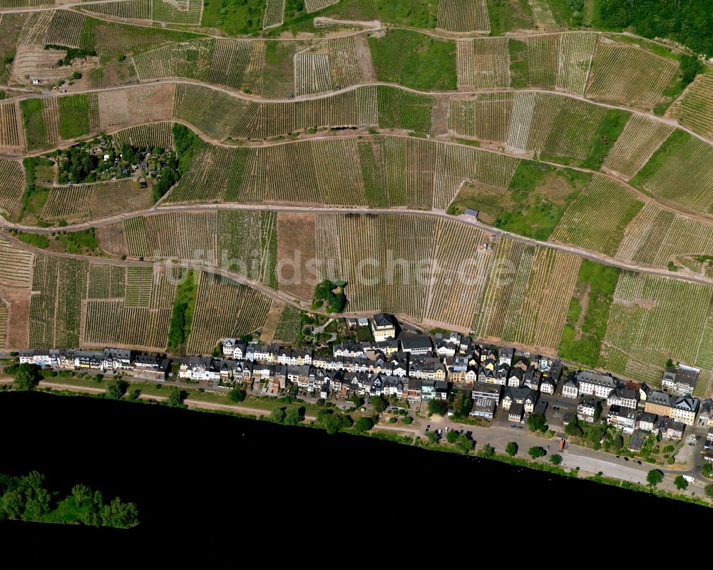 Luftaufnahme Zell (Mosel) - Uferbereich der Mosel in Zell (Mosel) im Bundesland Rheinland-Pfalz