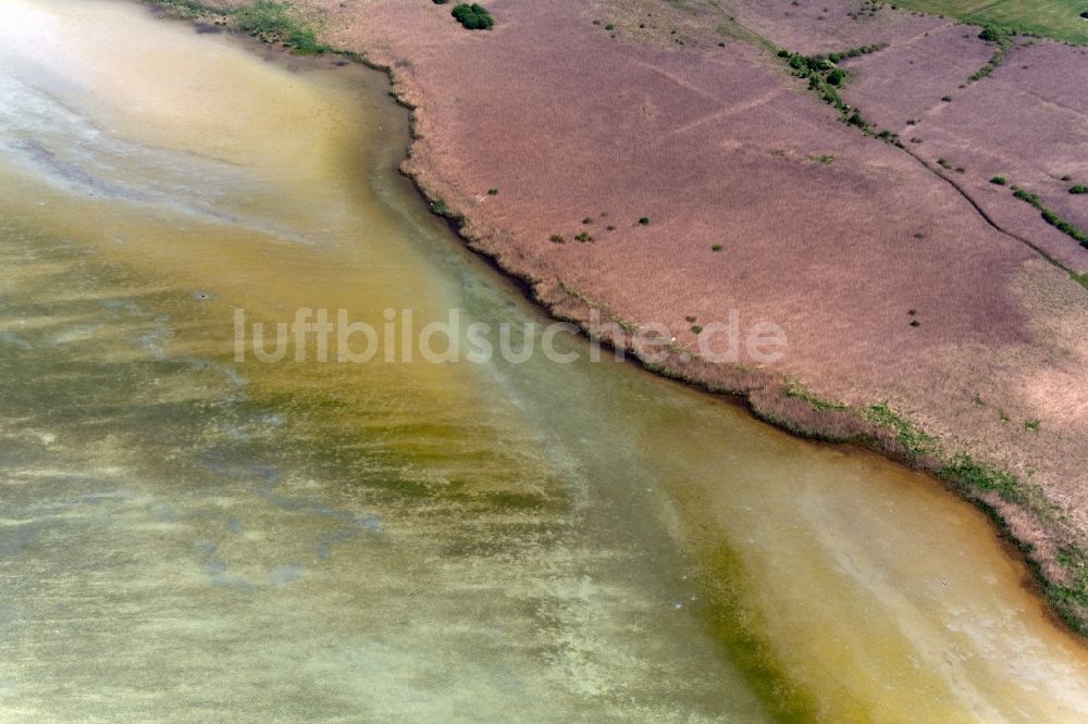 Luftbild Konstanz - Uferbereich des Sees Untersee - Gnadensee in Konstanz im Bundesland Baden-Württemberg, Deutschland