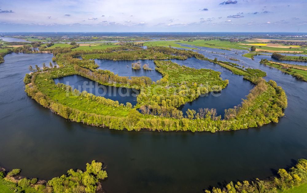 Birten von oben - Uferbereiche am Alter Rhein Flußverlauf in Birten im Bundesland Nordrhein-Westfalen, Deutschland