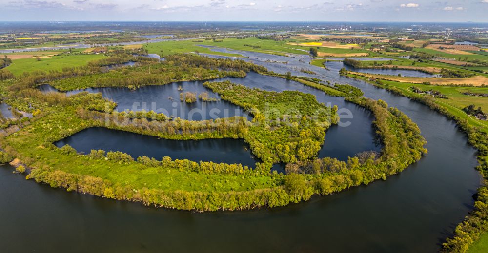 Birten aus der Vogelperspektive: Uferbereiche am Alter Rhein Flußverlauf in Birten im Bundesland Nordrhein-Westfalen, Deutschland
