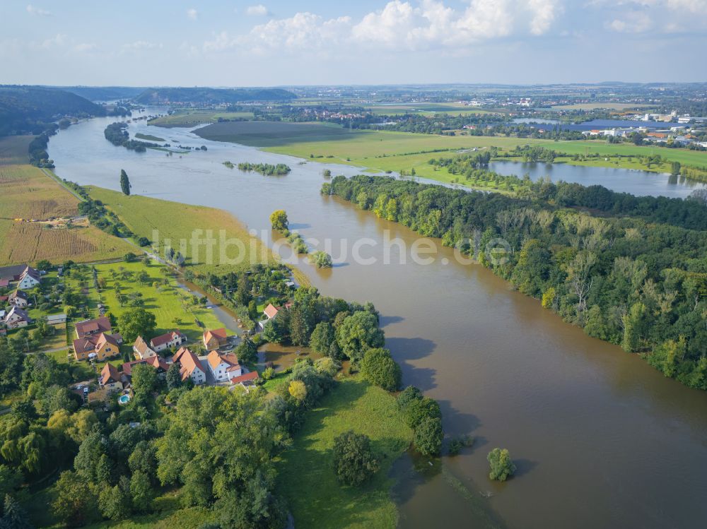 Scharfenberg von oben - Uferbereiche bei Hochwasser am Flußverlauf der Elbe in Gauernitz im Bundesland Sachsen