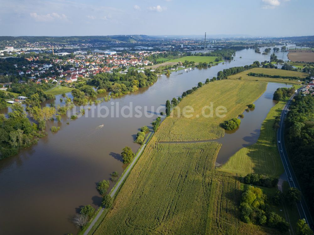 Scharfenberg aus der Vogelperspektive: Uferbereiche bei Hochwasser am Flußverlauf der Elbe in Gauernitz im Bundesland Sachsen