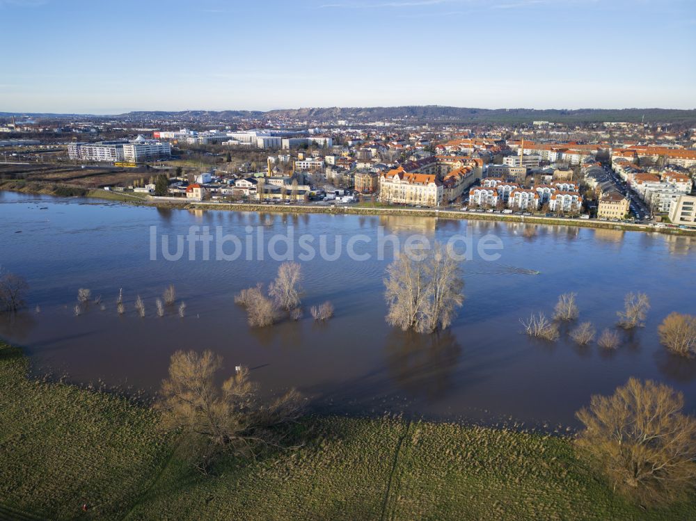 Dresden von oben - Uferbereiche mit durch Hochwasser- Pegel überflutetem Flußbett der Elbe im Ortsteil Pieschen und Kaditz in Dresden im Bundesland Sachsen, Deutschland