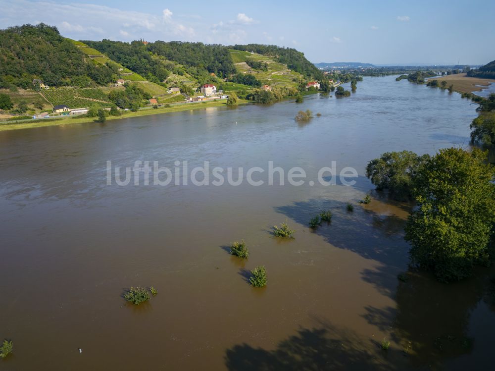 Luftaufnahme Scharfenberg - Uferbereiche mit durch Hochwasser- Pegel überflutetem Flußbett der Elbe in Scharfenberg im Bundesland Sachsen, Deutschland