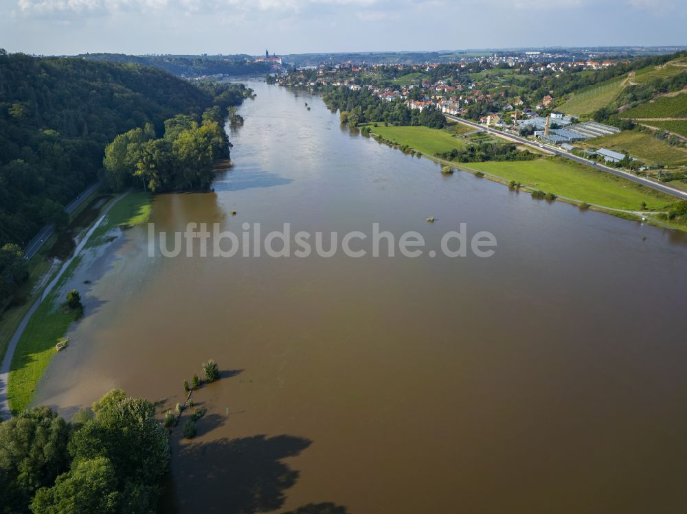 Scharfenberg von oben - Uferbereiche mit durch Hochwasser- Pegel überflutetem Flußbett der Elbe in Scharfenberg im Bundesland Sachsen, Deutschland