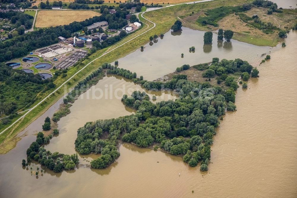 Duisburg von oben - Uferbereiche mit durch Hochwasser- Pegel überflutetem Flußbett des Rhein an der Werthauser Wardt in Duisburg im Bundesland Nordrhein-Westfalen, Deutschland