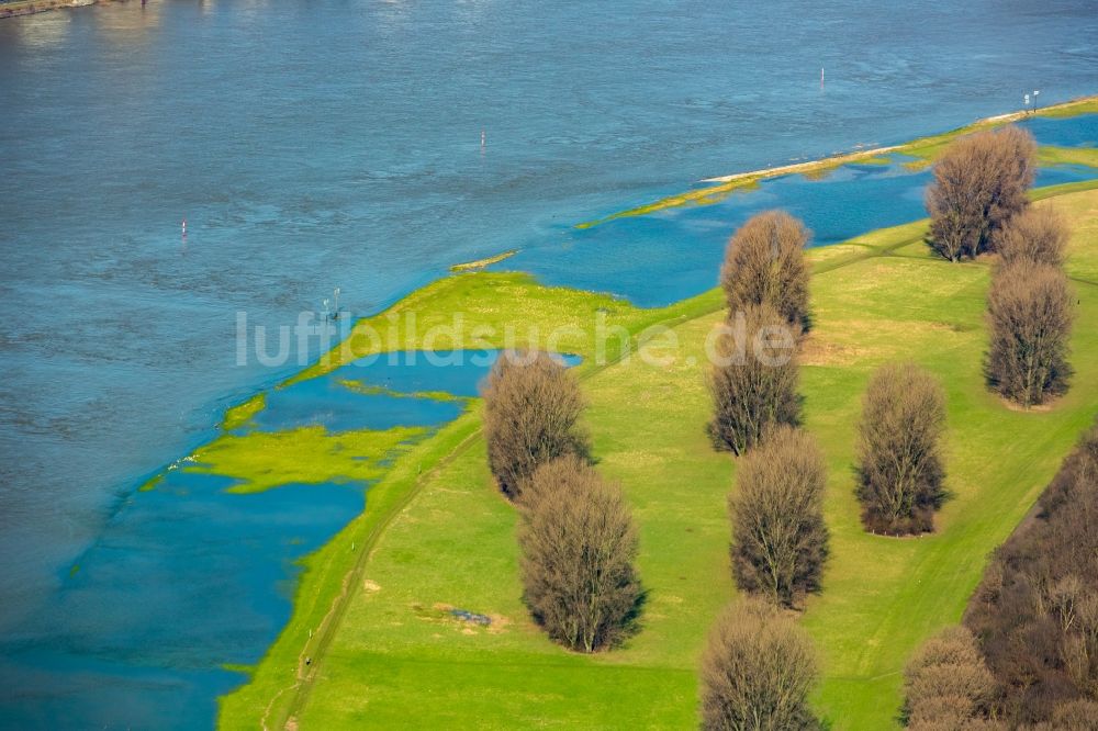 Duisburg von oben - Uferbereiche mit durch Hochwasser- Pegel überfluteten Flußbett in Duisburg im Bundesland Nordrhein-Westfalen