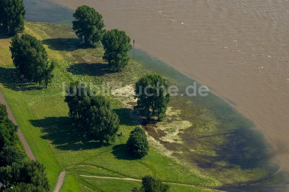 Luftbild Duisburg - Uferbereiche mit durch Hochwasser- Pegel überfluteten Flußbett an der Rhein- Brücke L410 in Duisburg im Bundesland Nordrhein-Westfalen