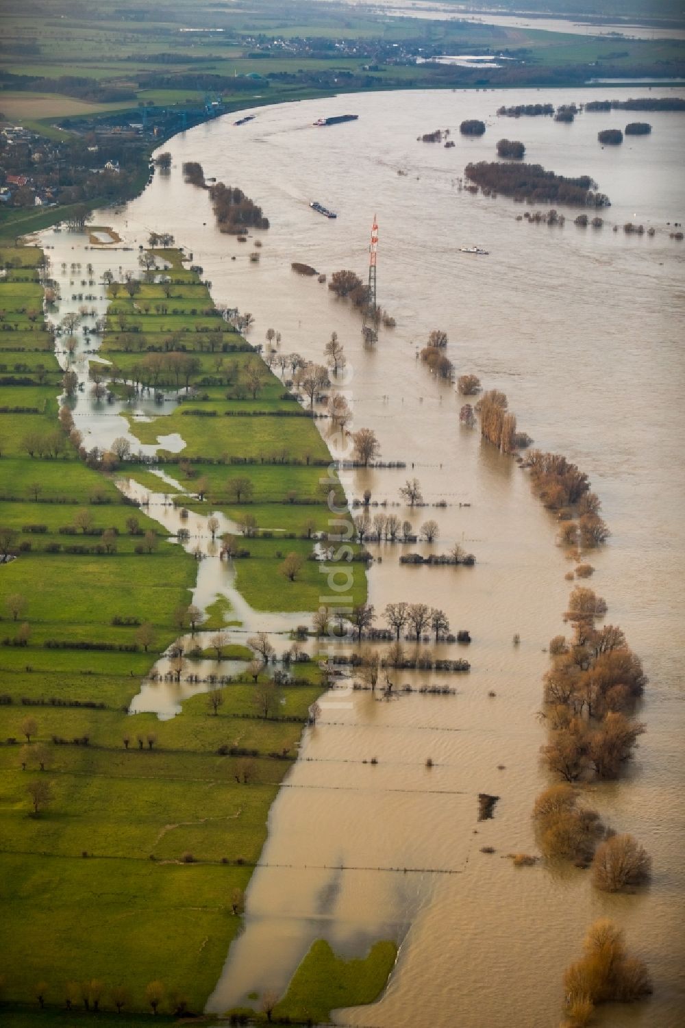 Luftbild Duisburg - Uferbereiche mit durch Hochwasser- Pegel überfluteten Flußbett des Rhein in Duisburg im Bundesland Nordrhein-Westfalen, Deutschland