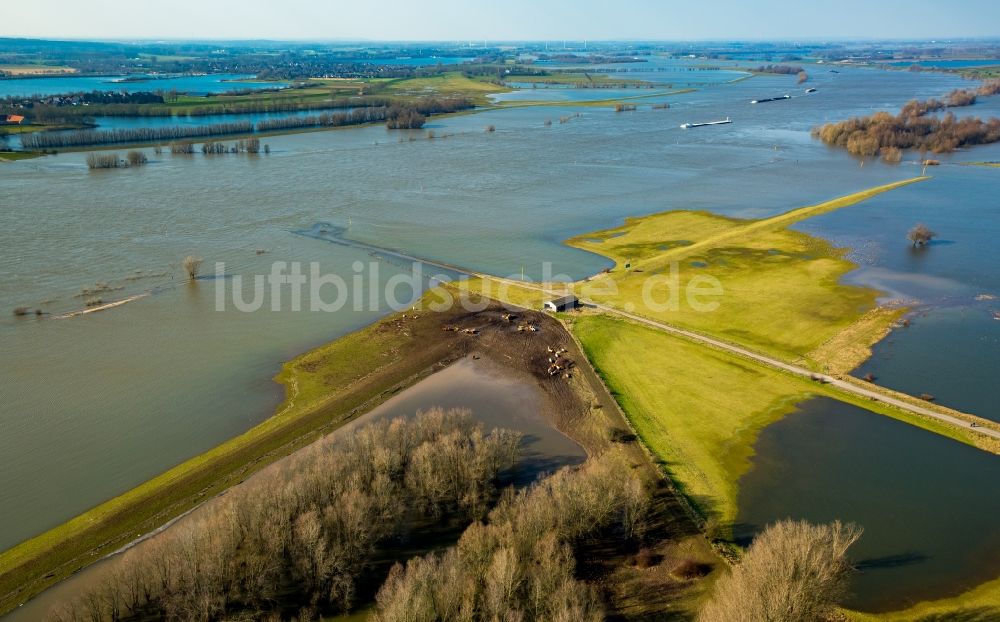 Luftbild Wesel - Uferbereiche mit durch Hochwasser- Pegel überfluteten Flußbett des Rhein in Wesel im Bundesland Nordrhein-Westfalen