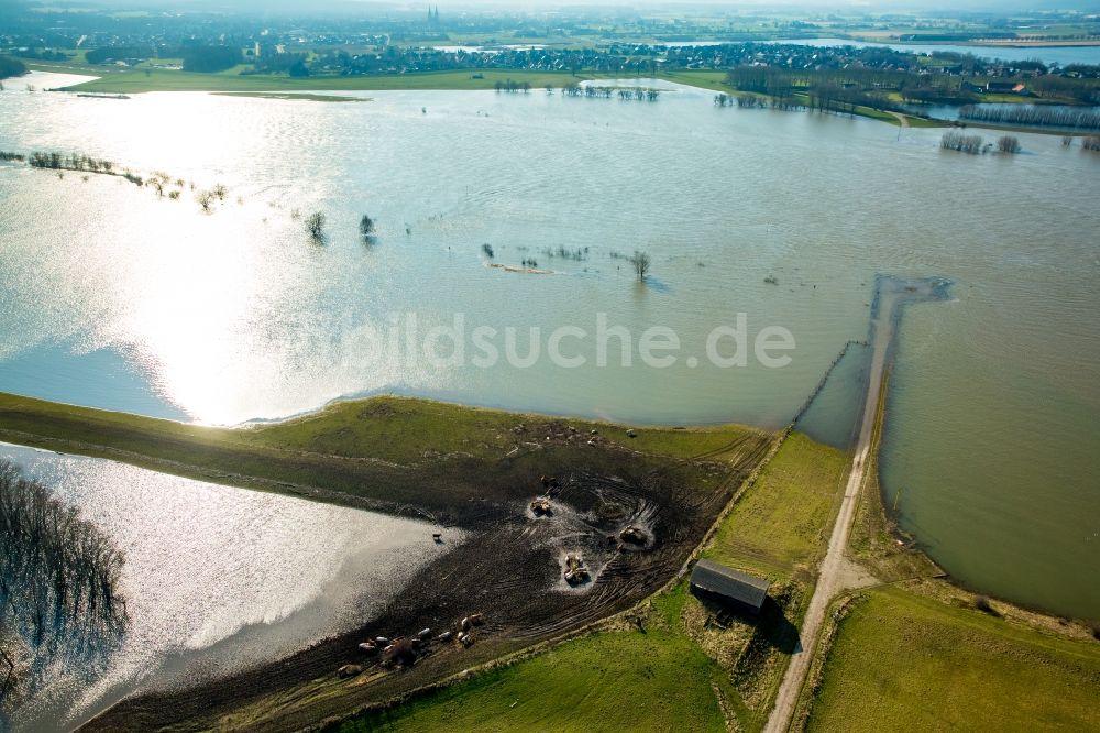 Luftaufnahme Wesel - Uferbereiche mit durch Hochwasser- Pegel überfluteten Flußbett des Rhein in Wesel im Bundesland Nordrhein-Westfalen