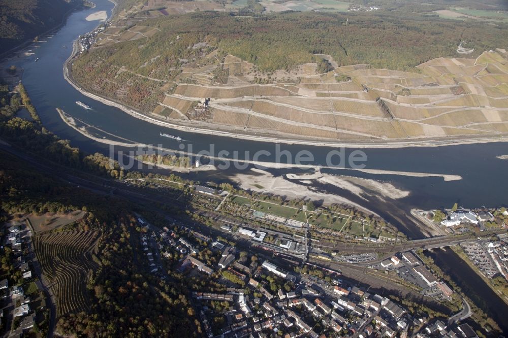 Luftbild Bingen am Rhein - Uferbereiche mit durch Niedrig- Wasser- Pegel freigelegtem Flußbett im Rhein in Bingen am Rhein im Bundesland Rheinland-Pfalz, Deutschland