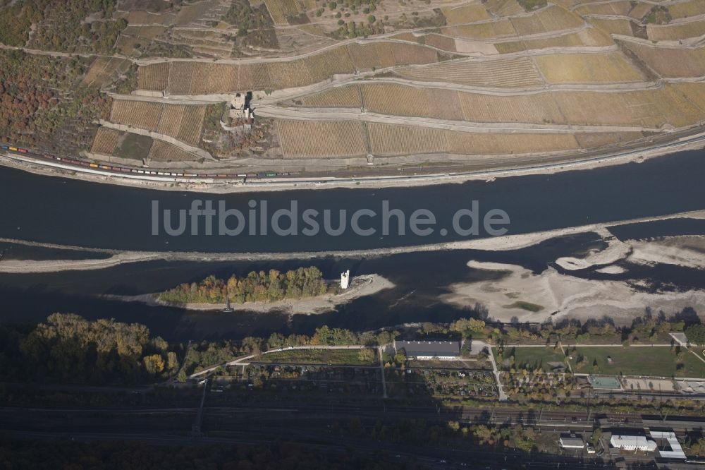 Bingen am Rhein aus der Vogelperspektive: Uferbereiche mit durch Niedrig- Wasser- Pegel freigelegtem Flußbett im Rhein in Bingen am Rhein im Bundesland Rheinland-Pfalz, Deutschland