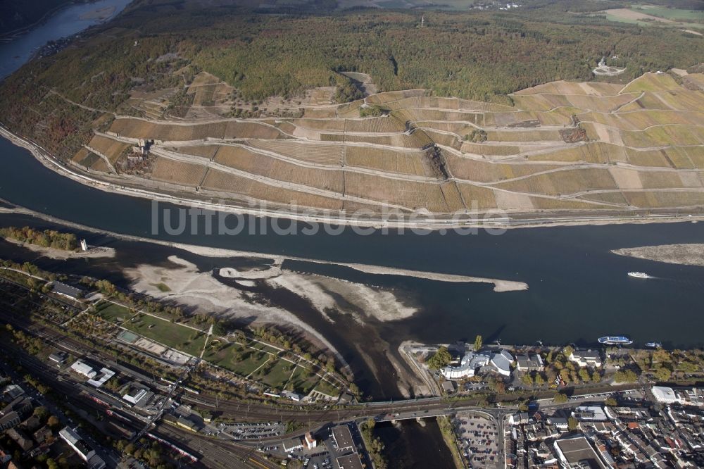 Luftaufnahme Bingen am Rhein - Uferbereiche mit durch Niedrig- Wasser- Pegel freigelegtem Flußbett im Rhein in Bingen am Rhein im Bundesland Rheinland-Pfalz, Deutschland