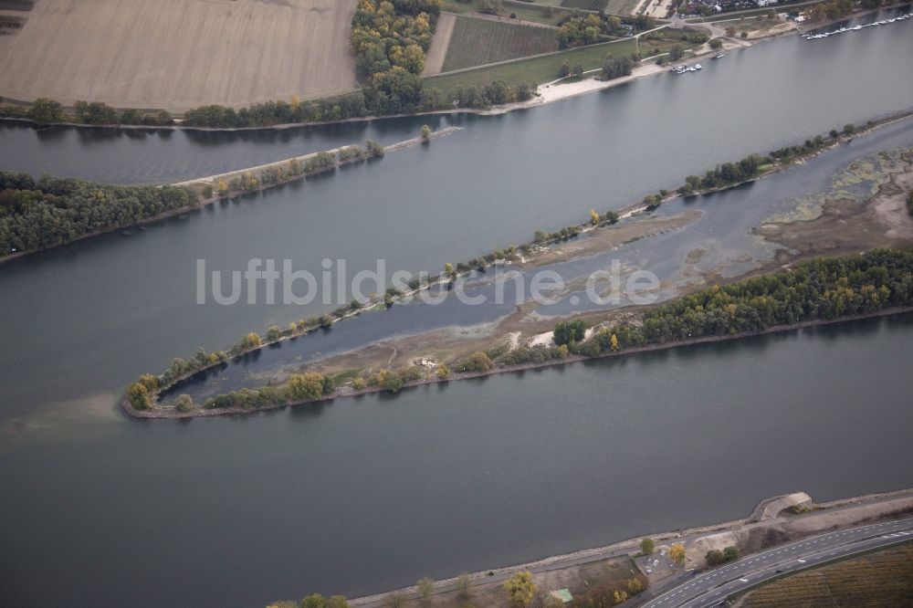 Luftaufnahme Eltville am Rhein - Uferbereiche mit durch Niedrig- Wasser- Pegel freigelegtem Flußbett im Rhein in Eltville am Rhein im Bundesland Hessen, Deutschland