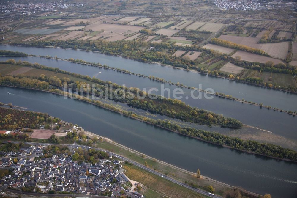 Luftbild Eltville am Rhein - Uferbereiche mit durch Niedrig- Wasser- Pegel freigelegtem Flußbett im Rhein in Eltville am Rhein im Bundesland Hessen, Deutschland