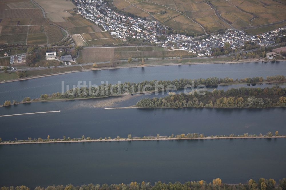 Luftbild Eltville am Rhein - Uferbereiche mit durch Niedrig- Wasser- Pegel freigelegtem Flußbett im Rhein in Eltville am Rhein im Bundesland Hessen, Deutschland