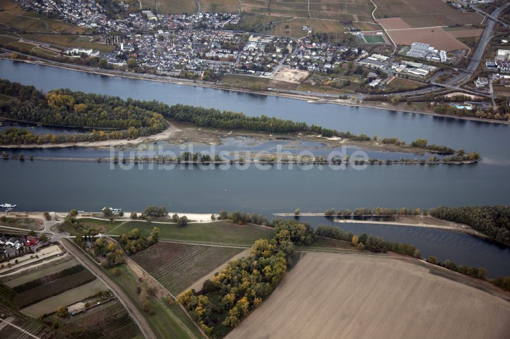 Luftbild Eltville am Rhein - Uferbereiche mit durch Niedrig- Wasser- Pegel freigelegtem Flußbett im Rhein in Eltville am Rhein im Bundesland Hessen, Deutschland