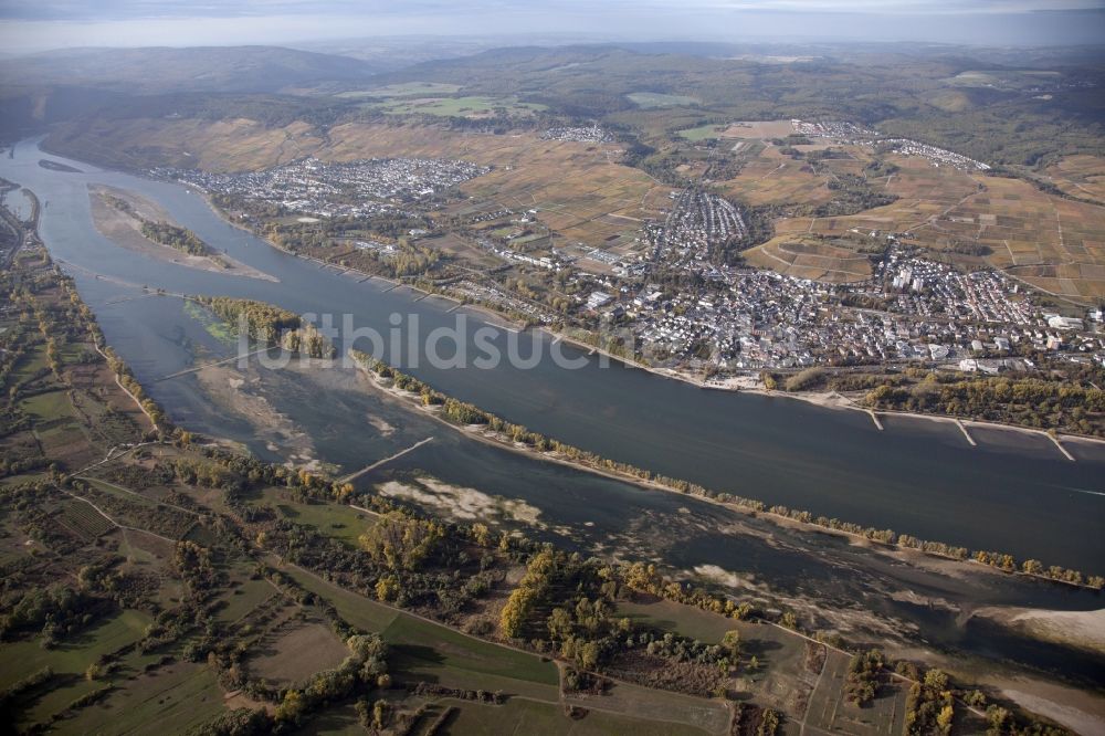 Luftaufnahme Geisenheim - Uferbereiche mit durch Niedrig- Wasser- Pegel freigelegtem Flußbett im Rhein in Geisenheim im Bundesland Hessen, Deutschland