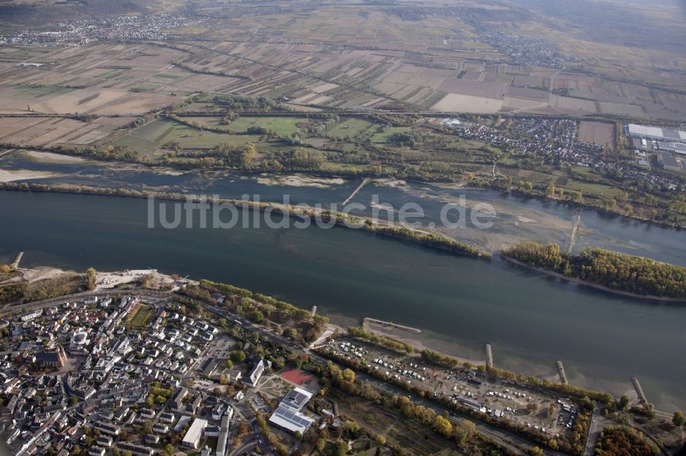 Geisenheim von oben - Uferbereiche mit durch Niedrig- Wasser- Pegel freigelegtem Flußbett im Rhein in Geisenheim im Bundesland Hessen, Deutschland