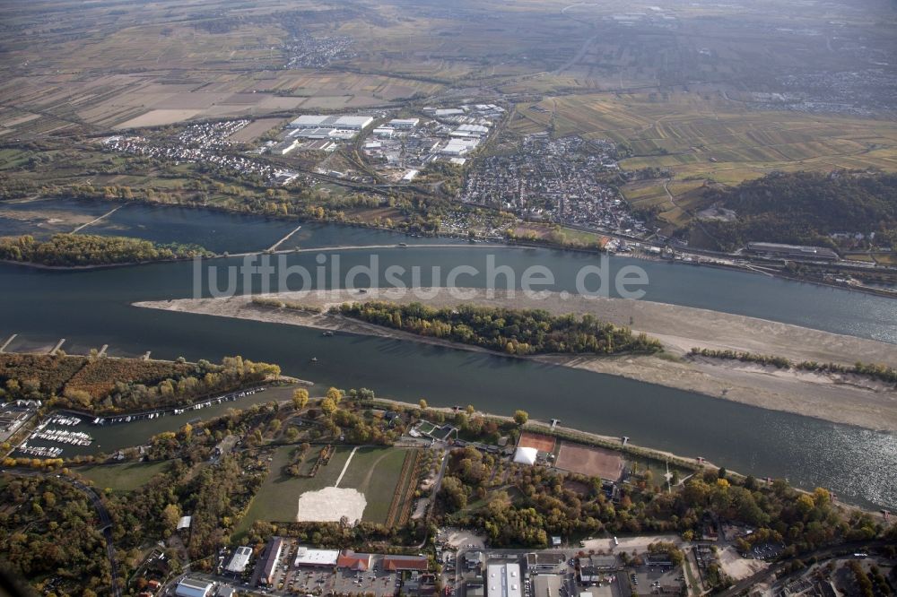 Luftbild Geisenheim - Uferbereiche mit durch Niedrig- Wasser- Pegel freigelegtem Flußbett im Rhein in Geisenheim im Bundesland Hessen, Deutschland