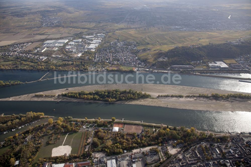 Luftaufnahme Geisenheim - Uferbereiche mit durch Niedrig- Wasser- Pegel freigelegtem Flußbett im Rhein in Geisenheim im Bundesland Hessen, Deutschland