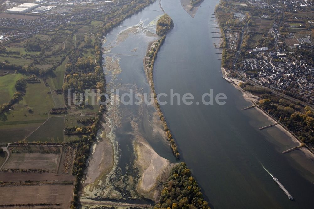 Geisenheim aus der Vogelperspektive: Uferbereiche mit durch Niedrig- Wasser- Pegel freigelegtem Flußbett im Rhein in Geisenheim im Bundesland Rheinland-Pfalz, Deutschland