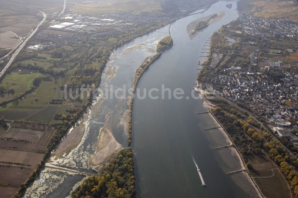 Luftbild Geisenheim - Uferbereiche mit durch Niedrig- Wasser- Pegel freigelegtem Flußbett im Rhein in Geisenheim im Bundesland Rheinland-Pfalz, Deutschland