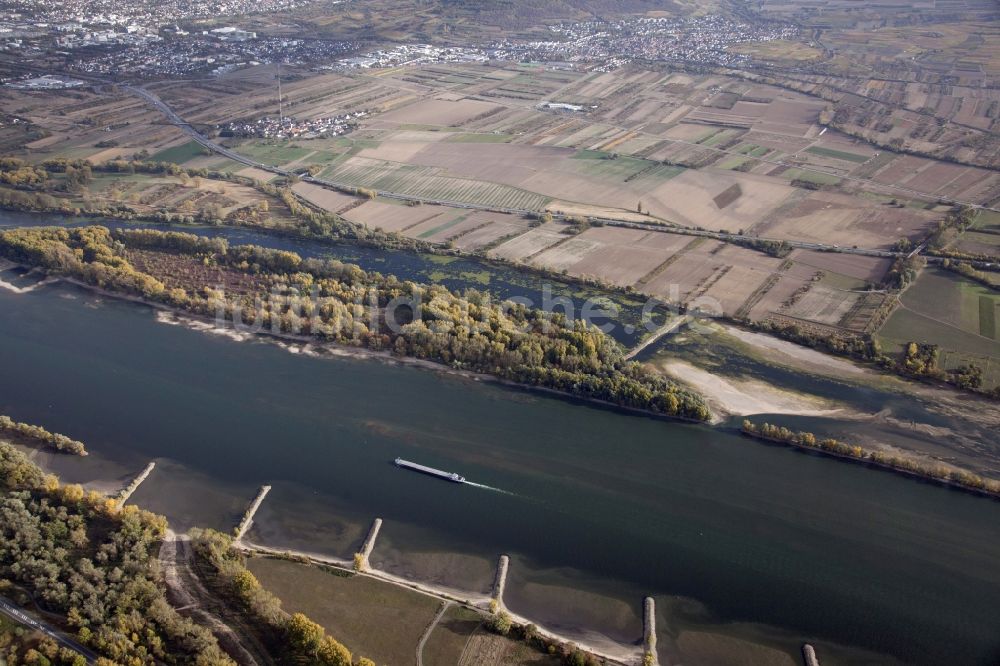 Ingelheim am Rhein aus der Vogelperspektive: Uferbereiche mit durch Niedrig- Wasser- Pegel freigelegtem Flußbett am Rhein in Ingelheim am Rhein im Bundesland Rheinland-Pfalz, Deutschland