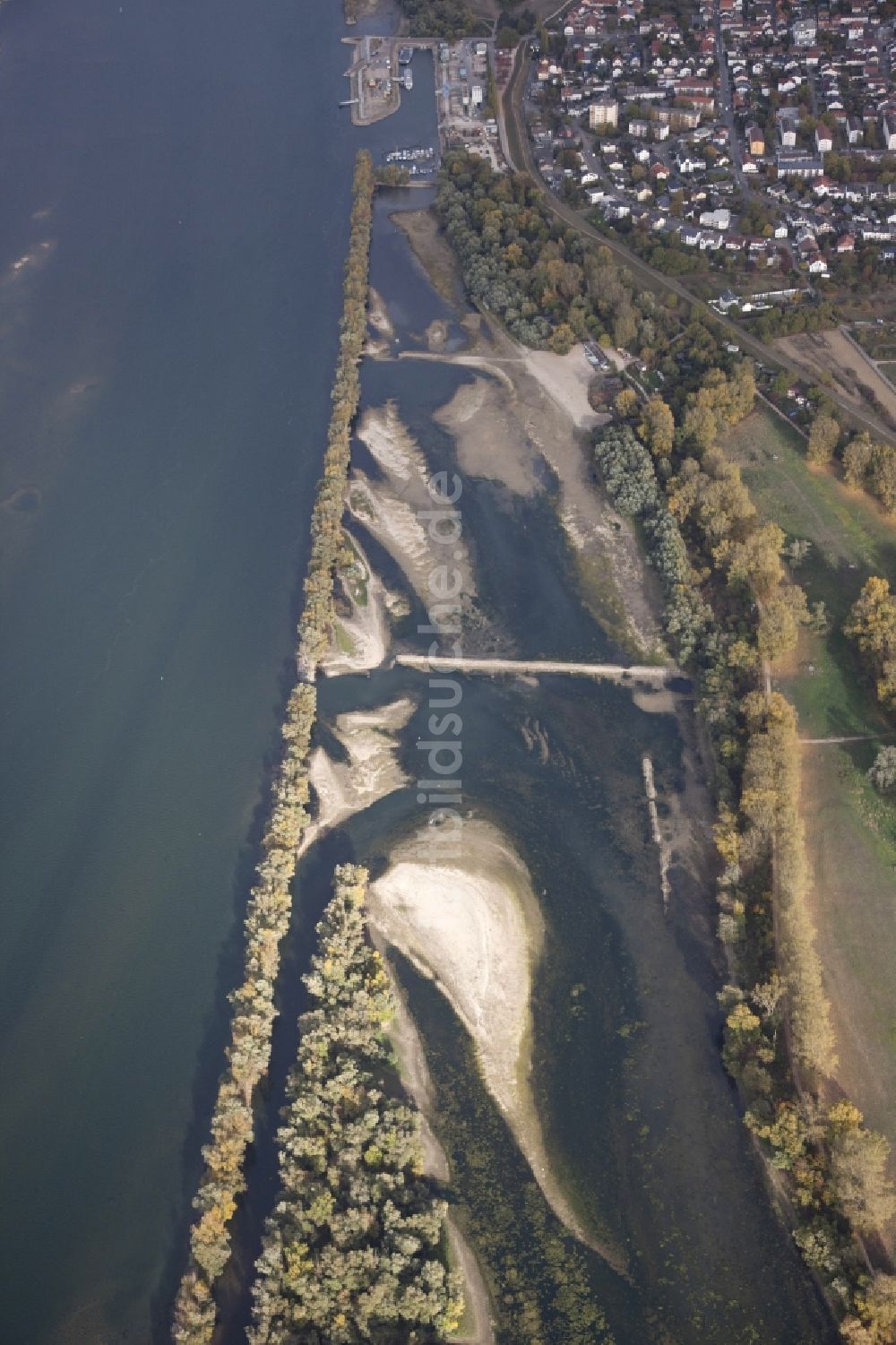 Ingelheim am Rhein von oben - Uferbereiche mit durch Niedrig- Wasser- Pegel freigelegtem Flußbett im Rhein in Ingelheim am Rhein im Bundesland Rheinland-Pfalz, Deutschland