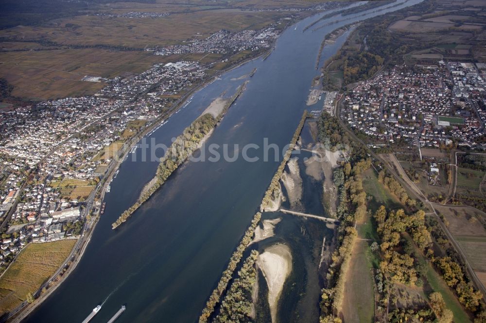 Ingelheim am Rhein aus der Vogelperspektive: Uferbereiche mit durch Niedrig- Wasser- Pegel freigelegtem Flußbett im Rhein in Ingelheim am Rhein im Bundesland Rheinland-Pfalz, Deutschland