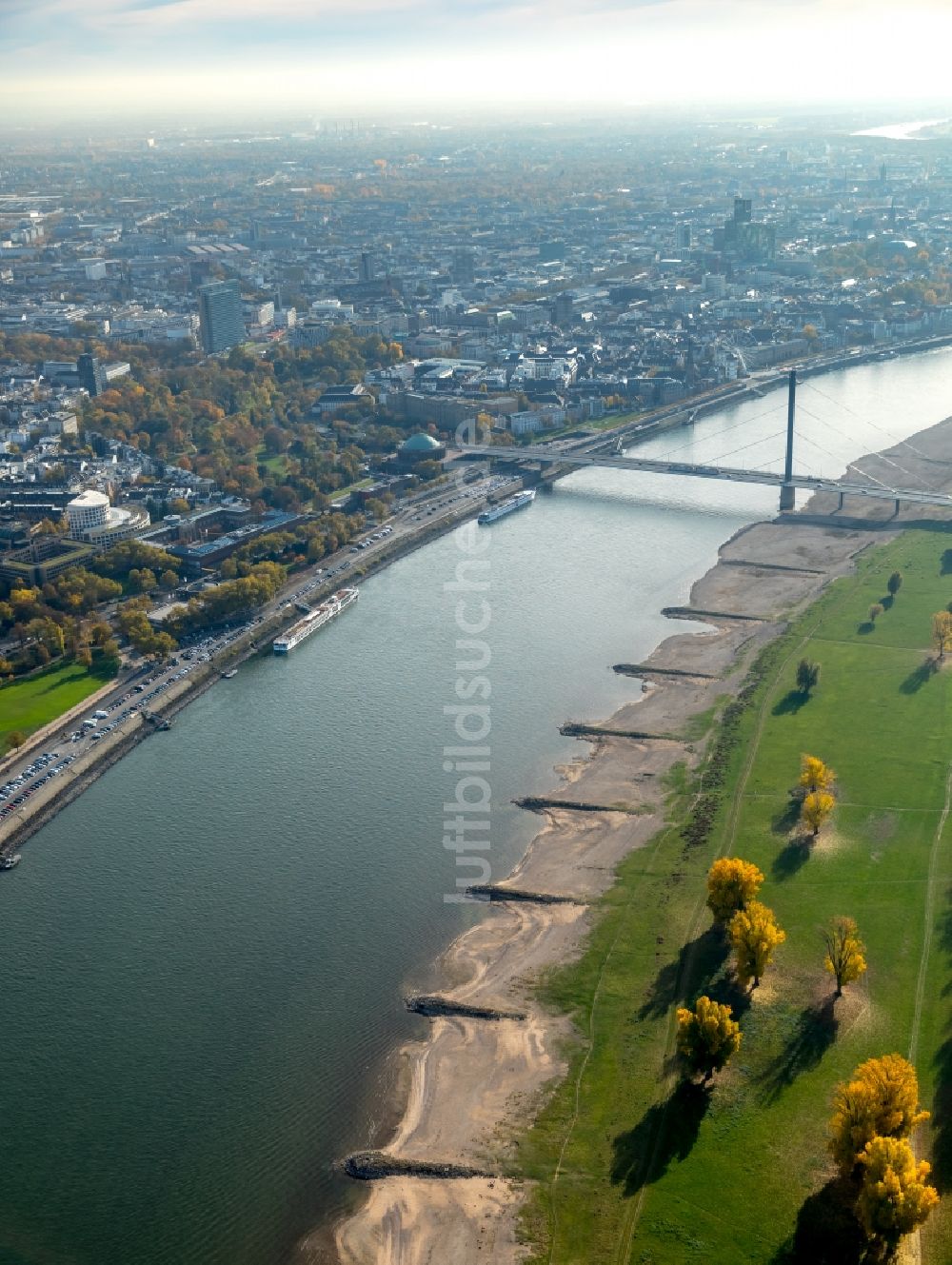 Düsseldorf von oben - Uferbereiche mit durch Niedrig- Wasser- Pegel freigelegten Bunen am Flußbett des Rhein in Düsseldorf im Bundesland Nordrhein-Westfalen, Deutschland