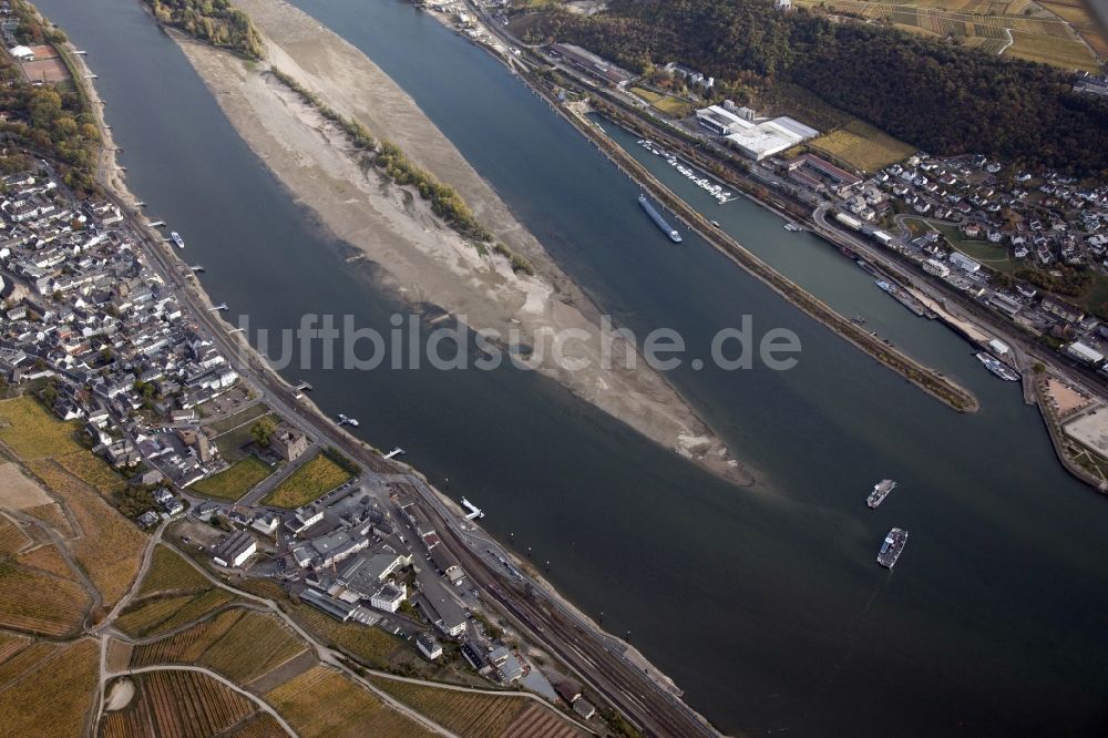 Bingen am Rhein von oben - Uferbereiche mit durch Niedrig- Wasser- Pegel freigelegten Flußbett im Rhein in Bingen am Rhein im Bundesland Rheinland-Pfalz, Deutschland