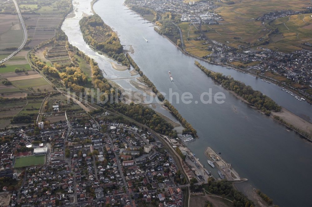 Ingelheim am Rhein aus der Vogelperspektive: Uferbereiche mit durch Niedrig- Wasser- Pegel freigelegten Flußbett im Rhein in Ingelheim am Rhein im Bundesland Rheinland-Pfalz, Deutschland