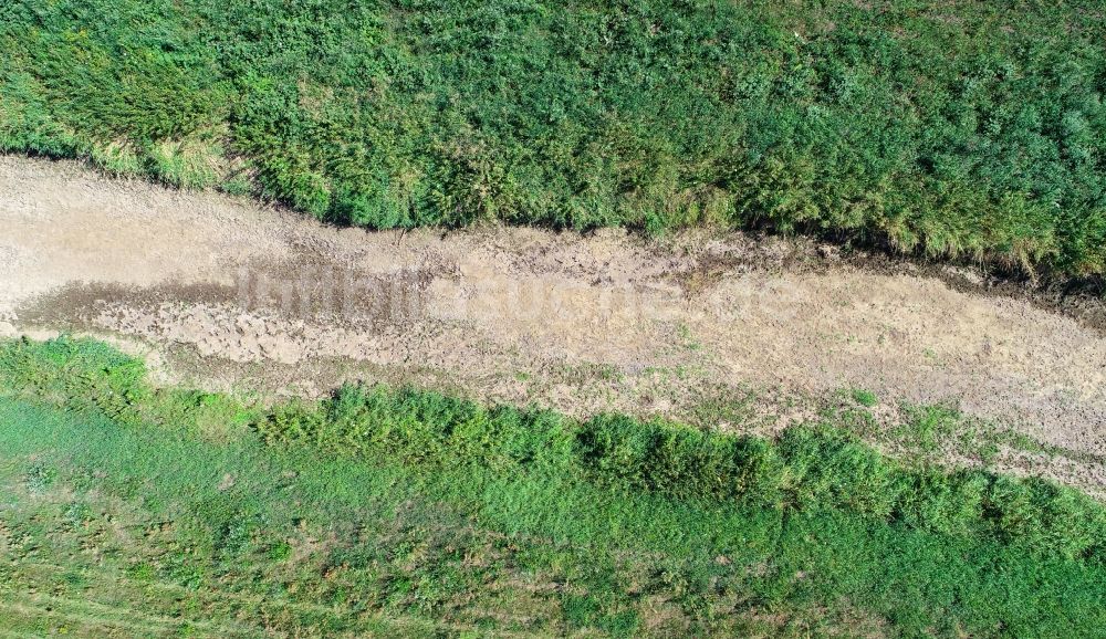 Luftaufnahme Senftenberg - Uferbereiche mit durch Niedrig- Wasser- Pegel freigelegten Flußbett Schwarze Elster in Senftenberg im Bundesland Brandenburg, Deutschland