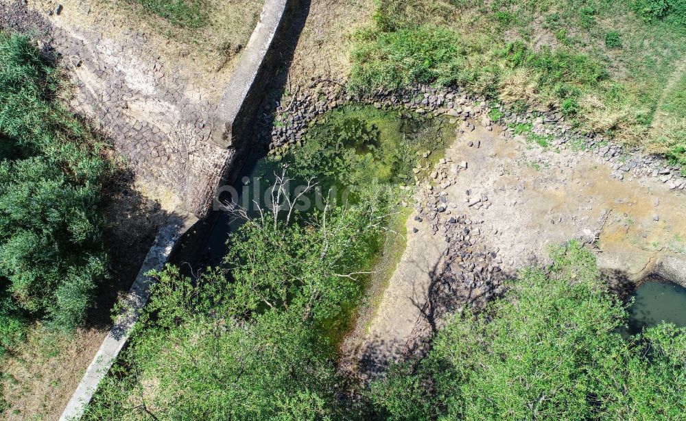 Senftenberg von oben - Uferbereiche mit durch Niedrig- Wasser- Pegel freigelegten Flußbett Schwarze Elster in Senftenberg im Bundesland Brandenburg, Deutschland