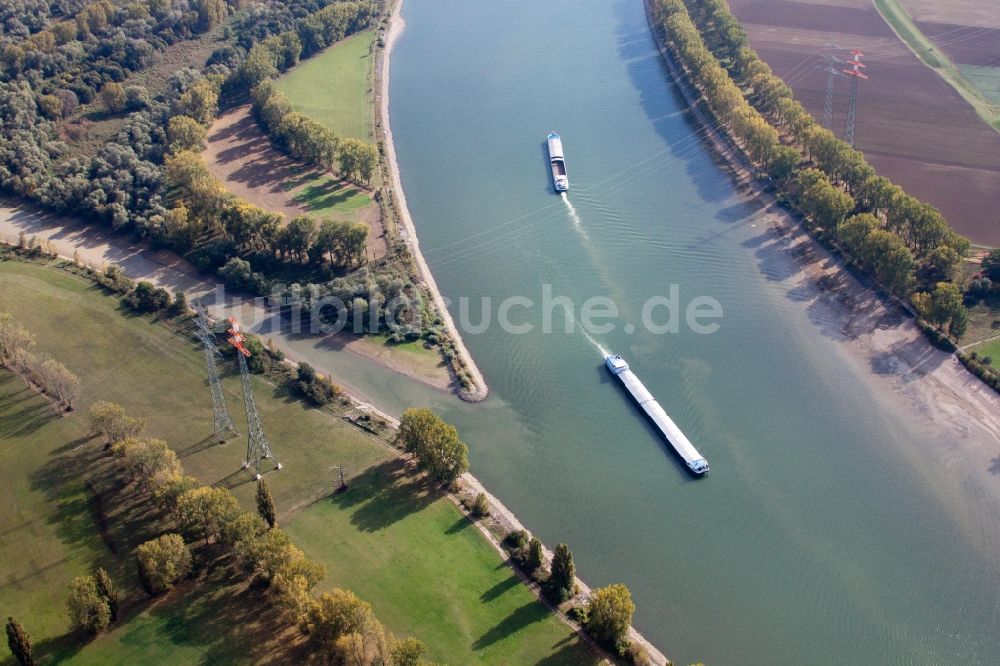 Worms von oben - Uferbereiche entlang der Fluß- Mündung Lamperheimer Altrheinmündung in Worms im Bundesland Rheinland-Pfalz