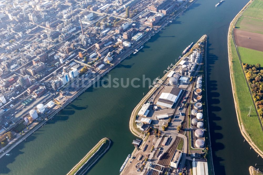 Luftbild Mannheim - Uferbereiche entlang der Fluß- Mündung des Neckar in den Rhein gegenüber der BASF im Ortsteil Mühlauhafen in Mannheim im Bundesland Baden-Württemberg, Deutschland