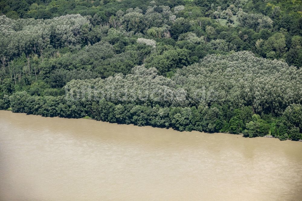 Luftaufnahme Haslau an der Donau - Uferbereiche am Flußverlauf der Donau bei Haslau an der Donau in Niederösterreich, Österreich