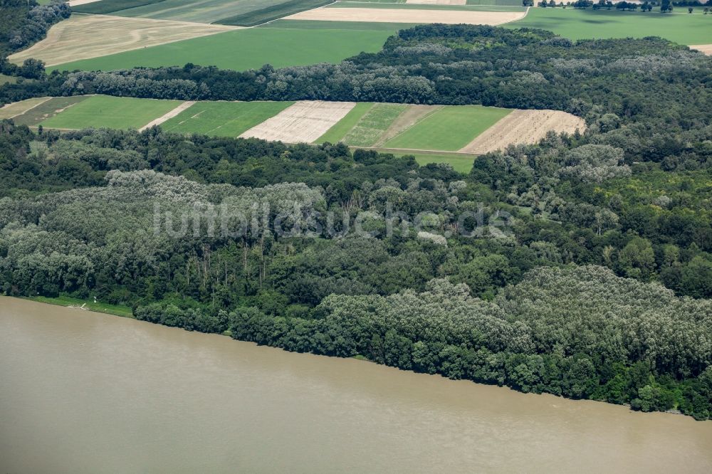 Haslau an der Donau von oben - Uferbereiche am Flußverlauf der Donau bei Haslau an der Donau in Niederösterreich, Österreich