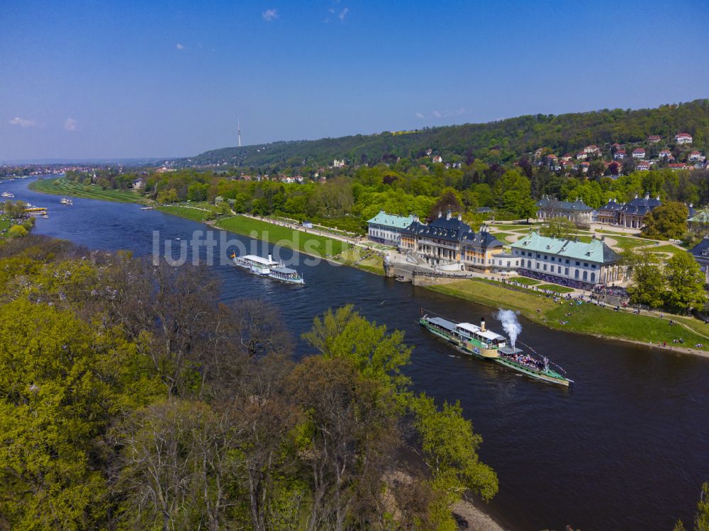 Dresden von oben - Uferbereiche am Flußverlauf der Elbe mit Flottenparade historischer Schaufelraddampfer in Dresden im Bundesland Sachsen, Deutschland