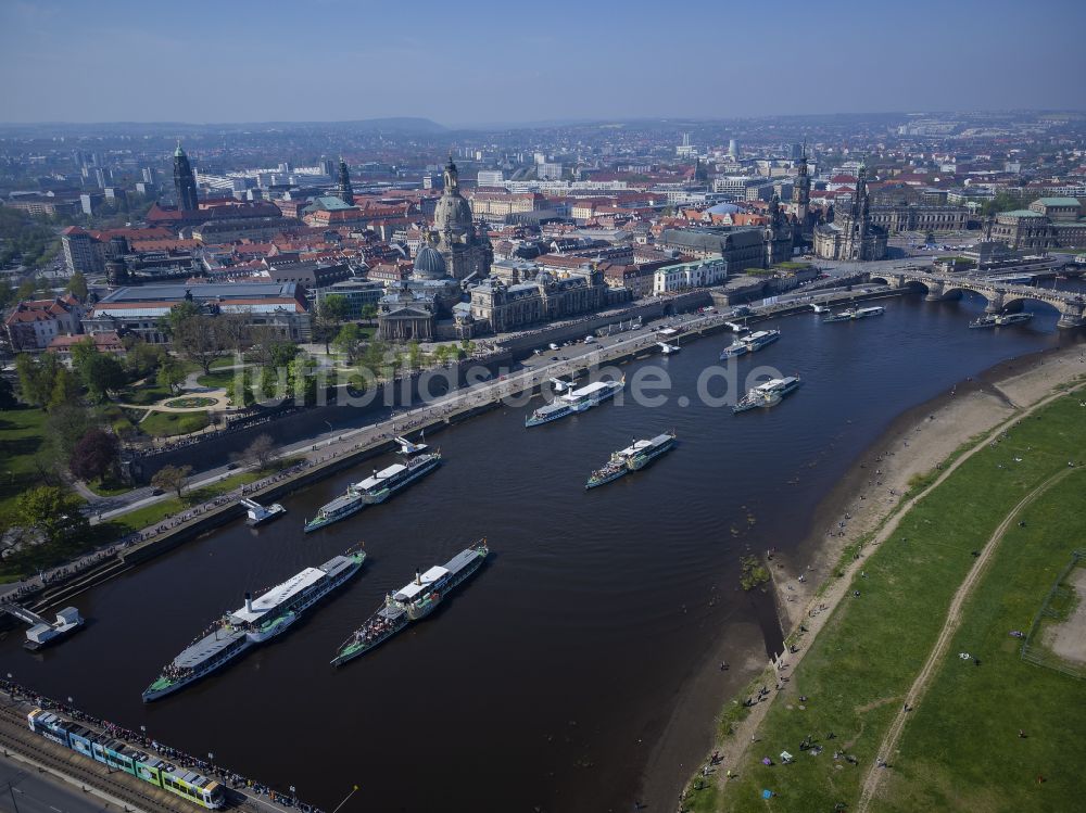 Dresden aus der Vogelperspektive: Uferbereiche am Flußverlauf der Elbe mit Flottenparade historischer Schaufelraddampfer in Dresden im Bundesland Sachsen, Deutschland