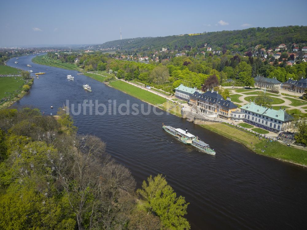 Luftbild Dresden - Uferbereiche am Flußverlauf der Elbe mit Flottenparade historischer Schaufelraddampfer in Dresden im Bundesland Sachsen, Deutschland