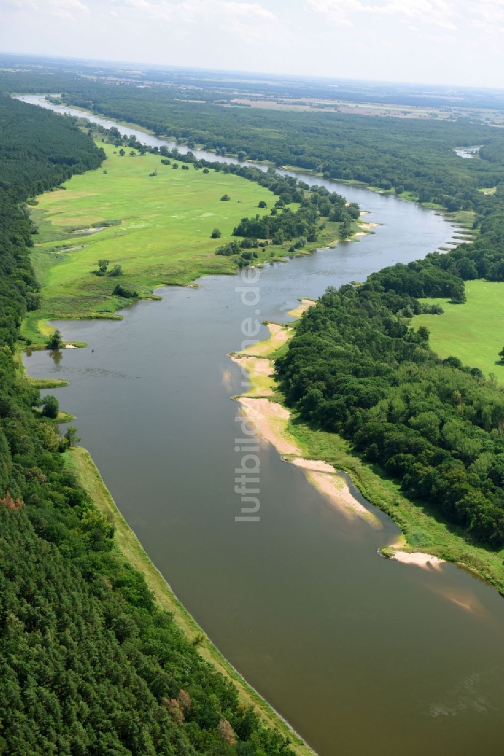 Luftaufnahme Hohenlepte - Uferbereiche am Flußverlauf der Elbe in Hohenlepte im Bundesland Sachsen-Anhalt, Deutschland