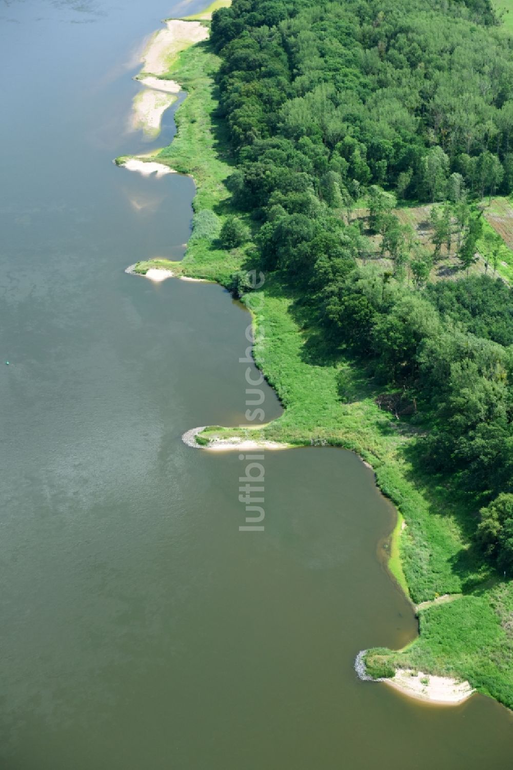 Hohenlepte von oben - Uferbereiche am Flußverlauf der Elbe in Hohenlepte im Bundesland Sachsen-Anhalt, Deutschland