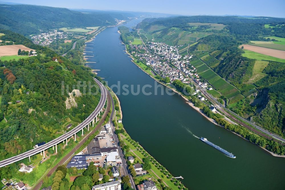 Luftbild Andernach - Uferbereiche am Flußverlauf des Rhein in Andernach im Bundesland Rheinland-Pfalz, Deutschland