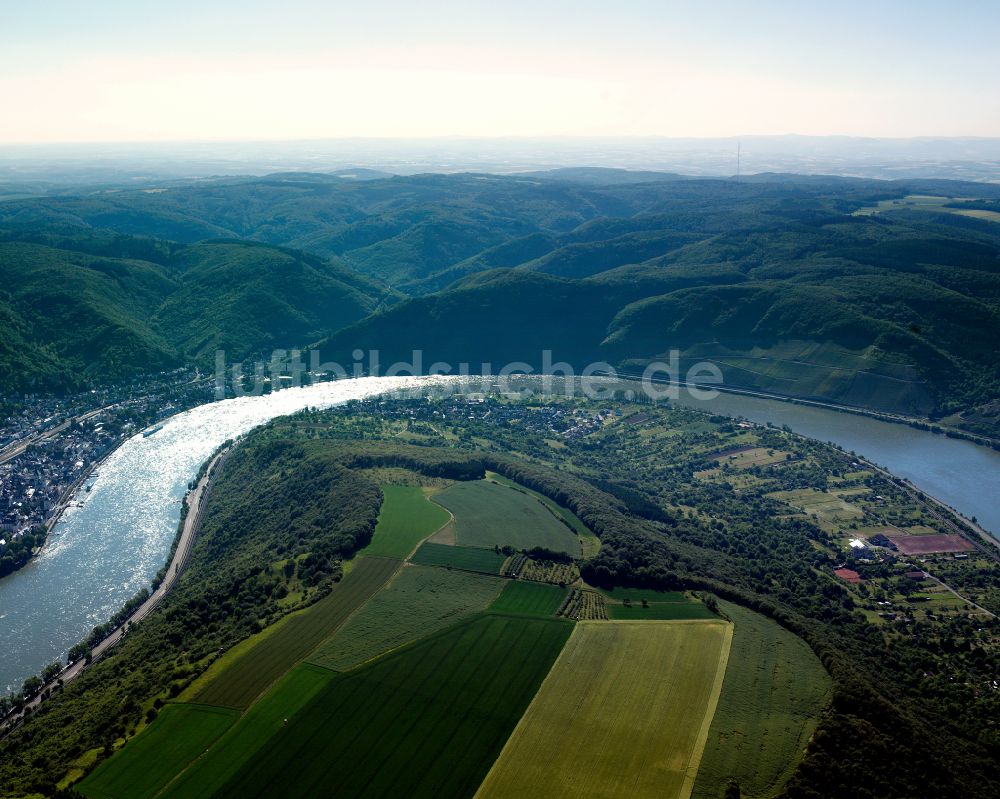 Luftbild Filsen - Uferbereiche am Flußverlauf des Rhein in Filsen im Bundesland Rheinland-Pfalz, Deutschland