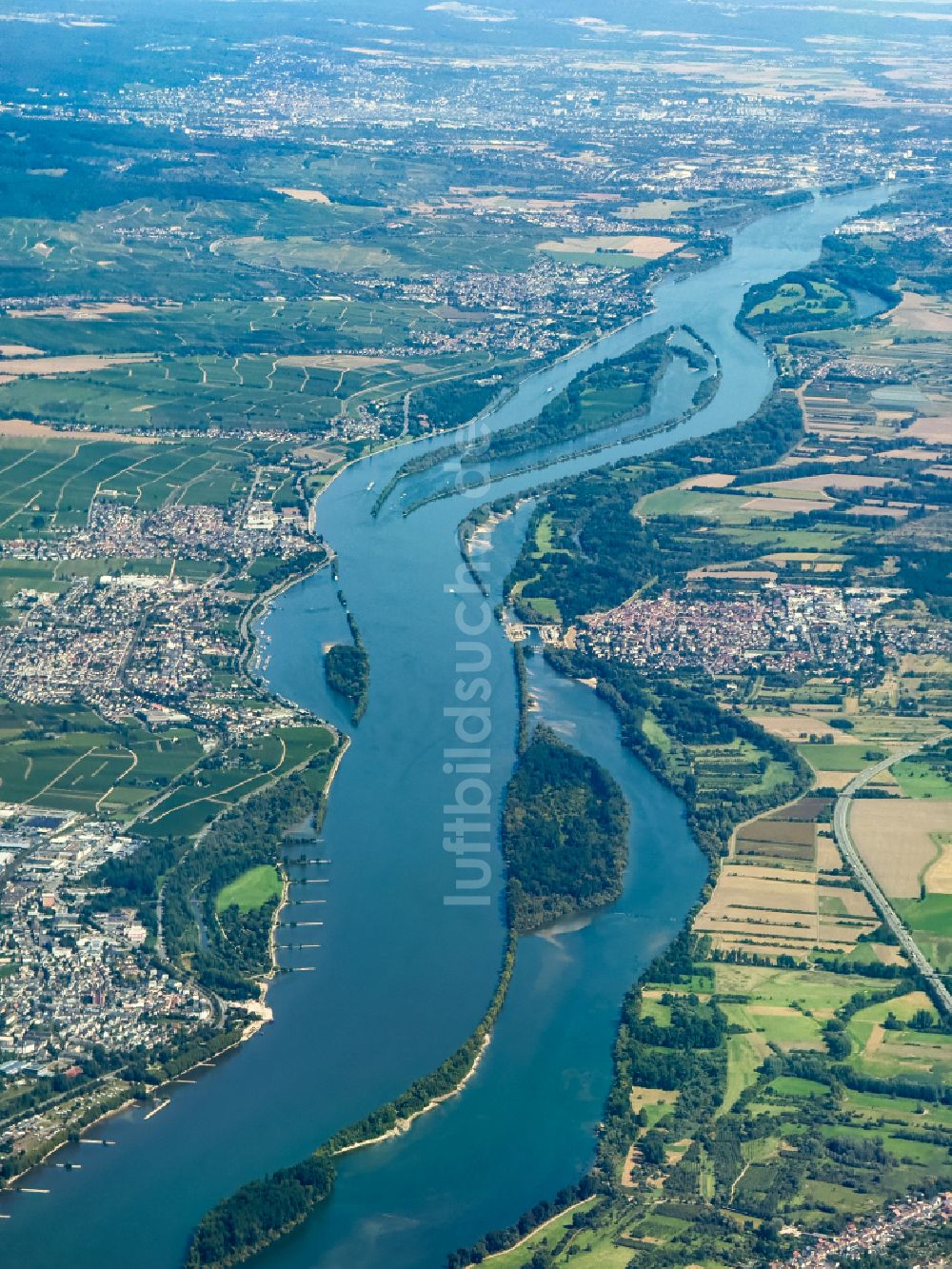 Luftaufnahme Ingelheim am Rhein - Uferbereiche am Flußverlauf Rhein in Ingelheim am Rhein im Bundesland Rheinland-Pfalz, Deutschland