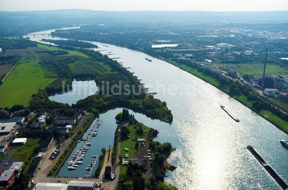 Luftbild Neuwied - Uferbereiche am Flußverlauf des Rhein in Neuwied im Bundesland Rheinland-Pfalz, Deutschland