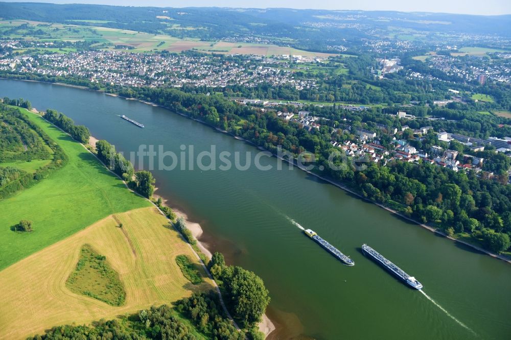 Neuwied aus der Vogelperspektive: Uferbereiche am Flußverlauf des Rhein in Neuwied im Bundesland Rheinland-Pfalz, Deutschland